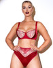 Fallen Angel Balcony Bra in Garnet Red