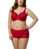 Stretch Lace Full Coverage Underwire Bra in Red