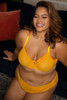 Sheer Mesh Full Coverage Unlined Underwire Bra in Saffron