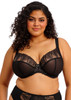 Reja Underwire Plunge Bra in Black