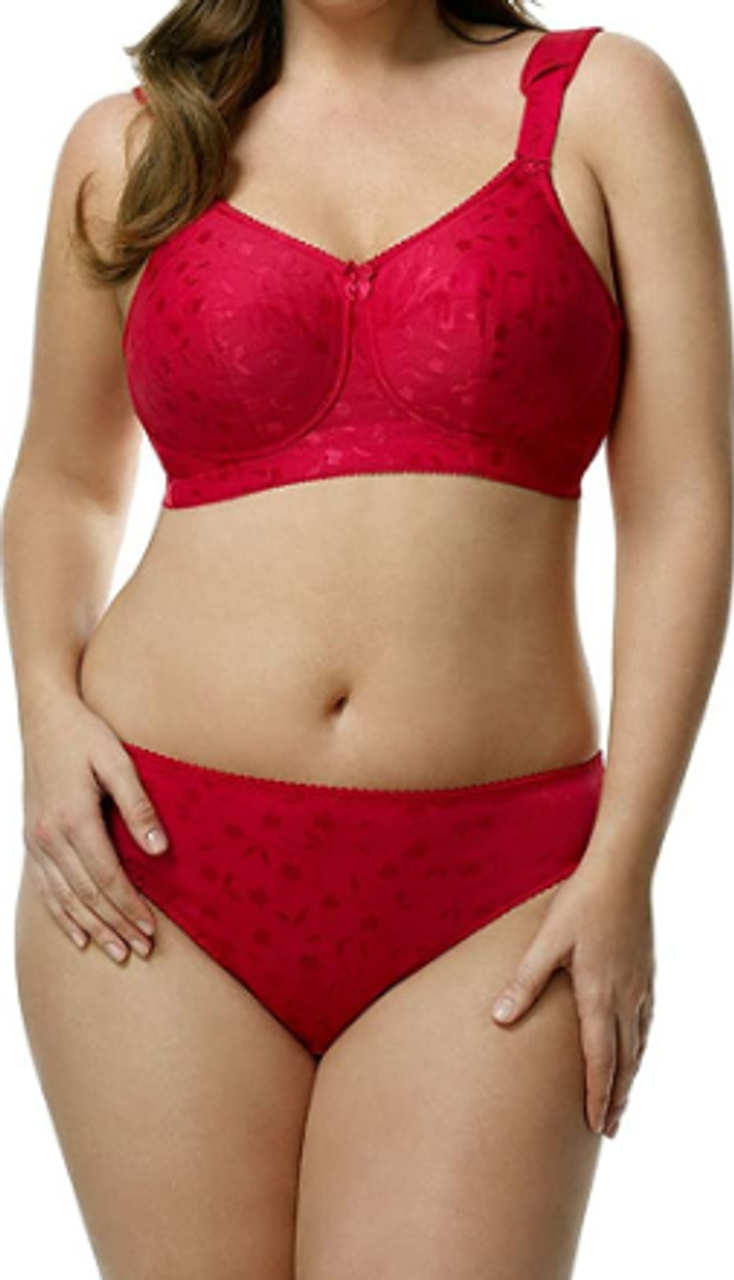 Elila Jacquard Panty in Red - Busted Bra Shop