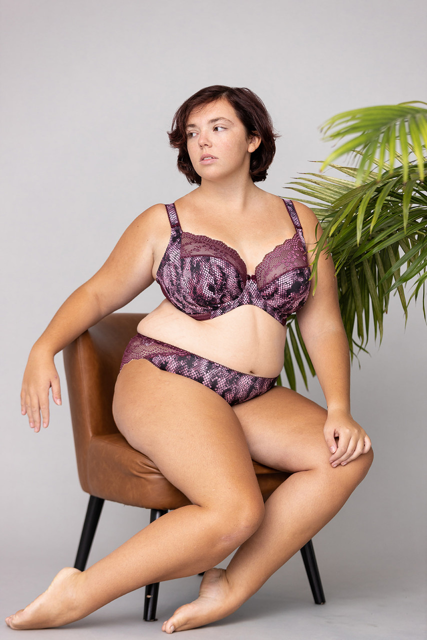 Elomi Lucie - Fashion Color – Bra Fittings by Court