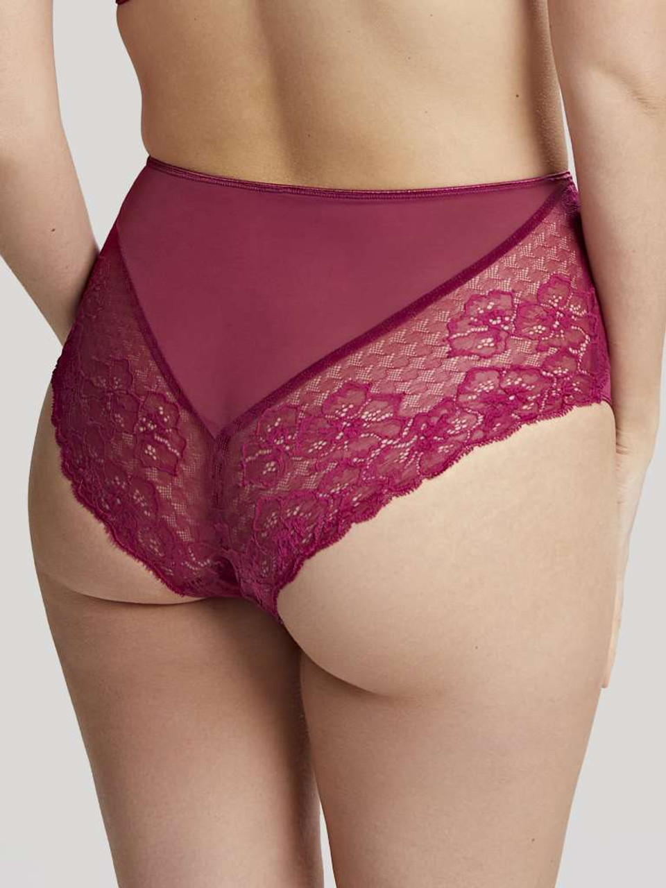 Panache IMOGEN HIGH WAIST BRIEF 10165 - Bra~vo intimates