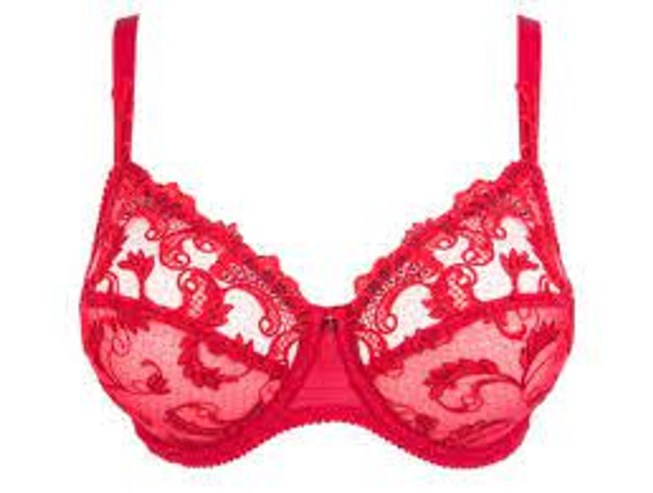 Dressing Floral 3 Part Full Cup Bra