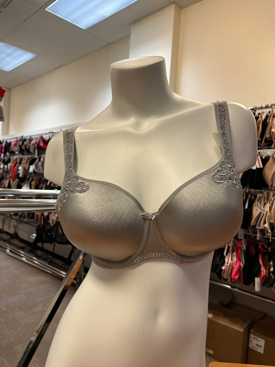 Fit Fully Yours Maxine Moulded T-Shirt Bra in Silver Stripe FINAL SALE (50%  Off) - Busted Bra Shop