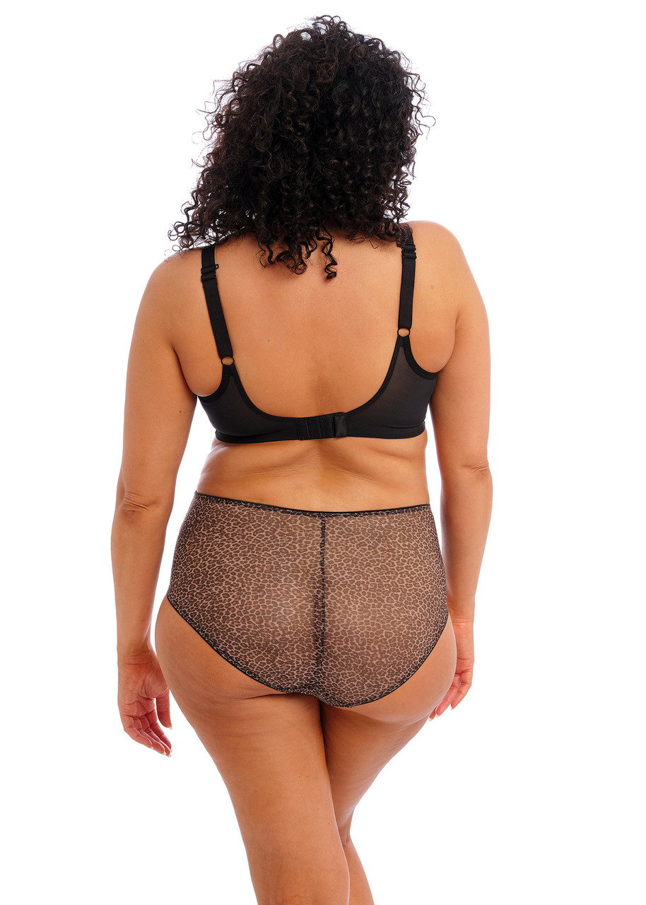 Matilda Plunge EL8900 Siren Song – shopbroadlingerie