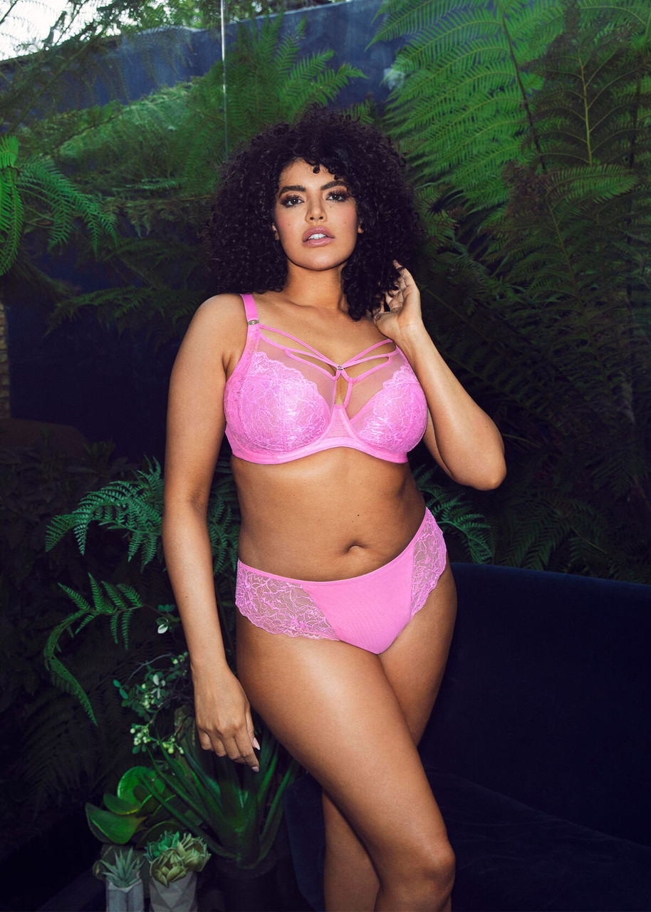 Elomi Brianna Underwire Plunge Bra in Very Pink (VEK) FINAL SALE