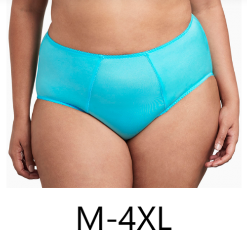 Goddess Keira Brief in Aqua FINAL SALE NORMALLY $22