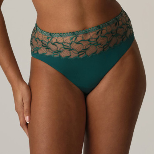 Springdale Full Brief FINAL SALE 50% Off