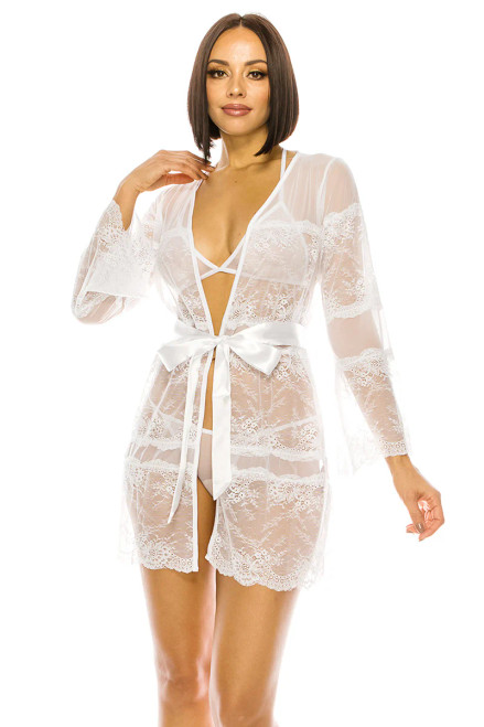 Sheer Mesh Robe with Bra, Thong & Satin Sash 4pc Mesh Robe Set in White