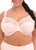 Elomi Morgan Stretch Lace Banded Underwire Bra in Ballet Pink