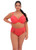 Elomi Bijou Molded Cup Bra in Cayenne (CYN) FINAL SALE (40% Off)