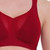 Anita Air Control Delta Pad Sports Bra in Lipstick