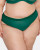 Curvy Couture Sheer Mesh High Cut Brief in Aventurine