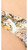 Classic Thong in Various Colors Classic Thong in Various Colors