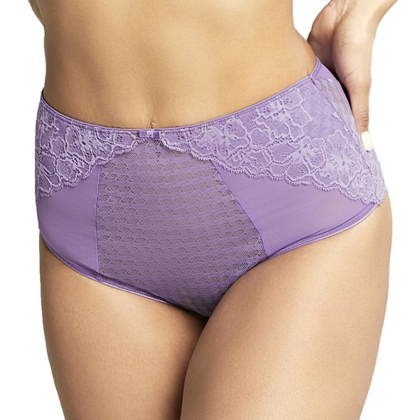 Envy Deep Brief in Violet FINAL SALE (50% Off)