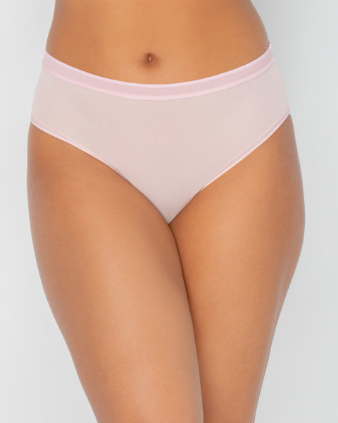Sheer Mesh High Cut Brief in Blushing Rose Sheer Mesh High Cut Brief in Blushing Rose