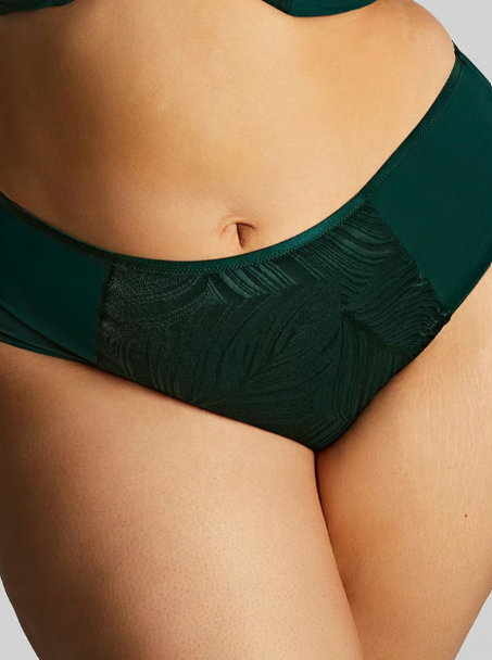 Illuminate Deep Brief in Dark Green