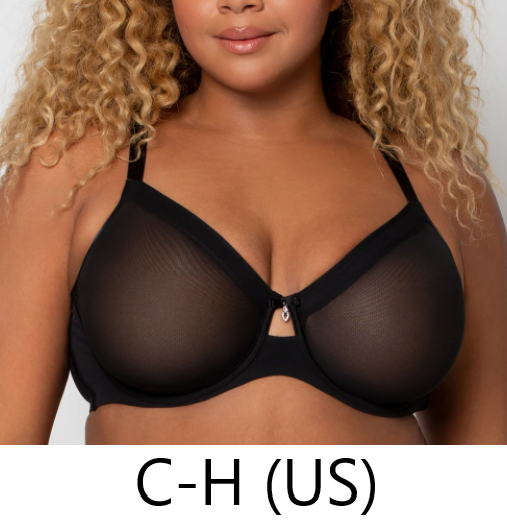 Sheer Mesh Full Coverage Unlined Underwire Bra in Black