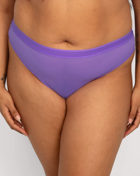 Sheer Mesh High Cut Thong in Violet