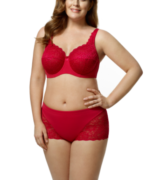Stretch Lace Cheeky Panty in Red