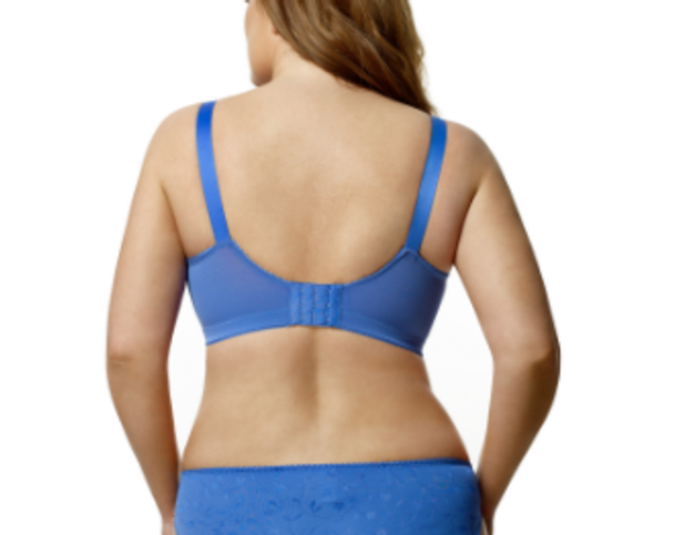 Lace Softcup Bra in Blue