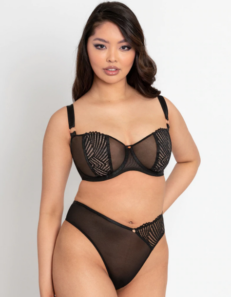 Authority Balcony Bra in Black