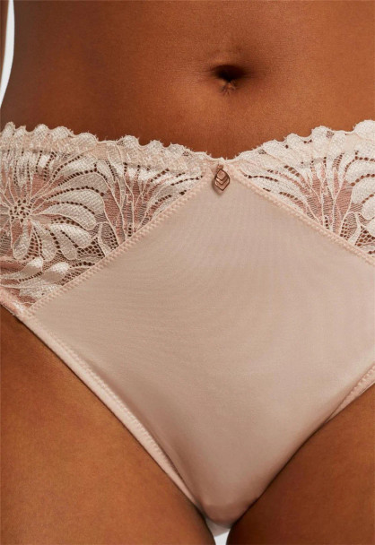 Anniversary Brief in Lotus