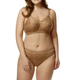 Jacquard Panty in Mocha