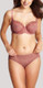 Envy Brief in Sienna FINAL SALE (75% Off)