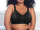 Celeste Soft Cup Bra in Black