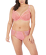 Matilda Full Brief in Rose (ROE)