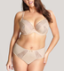 Siren Plunge Underwire Bra in Vintage FINAL SALE (40% Off)