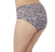 Mariella Full Brief in Hidden Tiger FINAL SALE NORMALLY $32