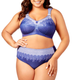 Printed Lace Panty in Blue Pinstripe