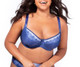 Printed Lace Panty in Blue Pinstripe