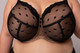 Dot Gold Bra in Cappuccino/Black