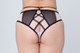 Gigi Rose Brief Pink