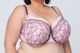 Gigi Rose Full Cup Bra in Pink