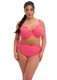 Charley Full Brief in Honeysuckle (HOE) FINAL SALE (40% Off)