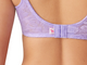 Awareness Full Figure Seamless Underwire Bra in Purple Rose (516)