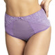Envy Deep Brief in Violet FINAL SALE (50% Off)