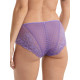 Envy Brief in Violet FINAL SALE (50% Off)