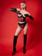 Applique Roses Underbust Bustier in Velvet Roses