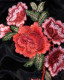 Applique Roses Underbust Bustier in Velvet Roses