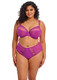 Matilda Full Brief in Hollyhock (HOC)