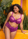 Matilda Full Brief in Hollyhock (HOC)