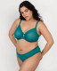 Sheer Mesh High Cut Brief in Fanfare