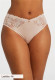 Anniversary Brief in Lotus