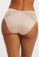 Anniversary Brief in Lotus